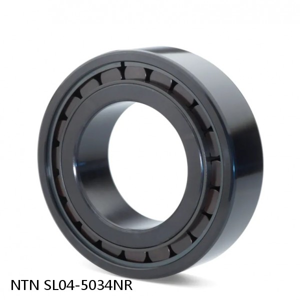 SL04-5034NR NTN Cylindrical Roller Bearing