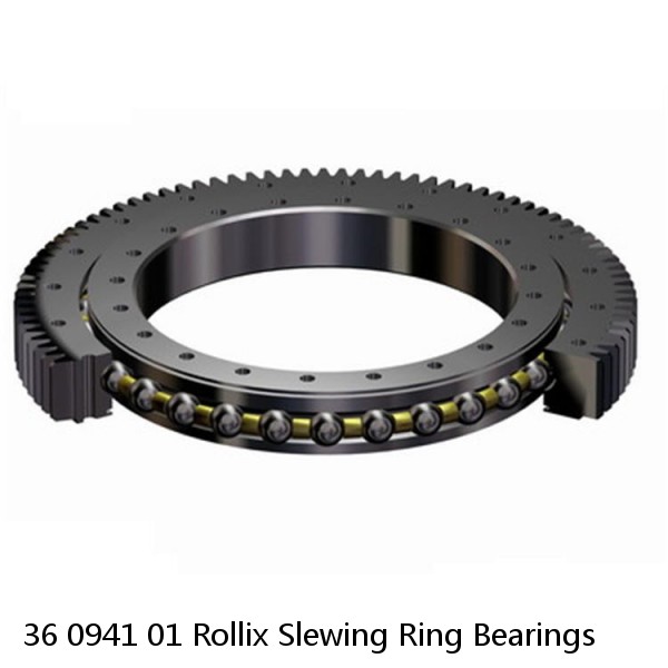 36 0941 01 Rollix Slewing Ring Bearings #1 small image