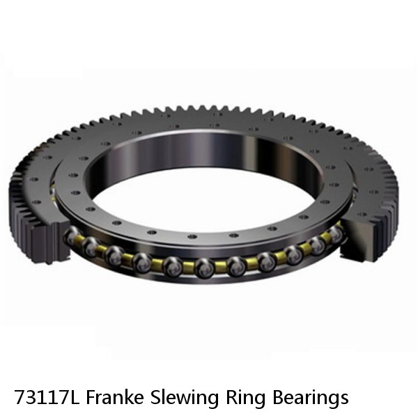 73117L Franke Slewing Ring Bearings #1 small image
