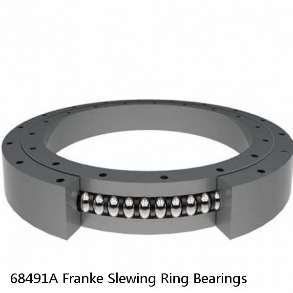 68491A Franke Slewing Ring Bearings #1 small image