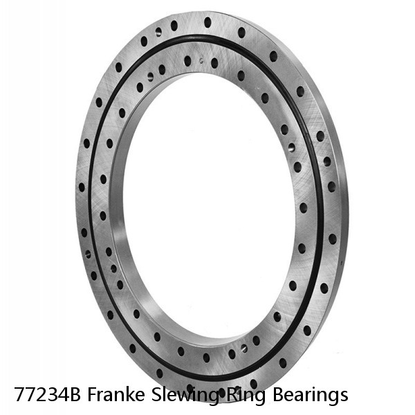 77234B Franke Slewing Ring Bearings #1 small image