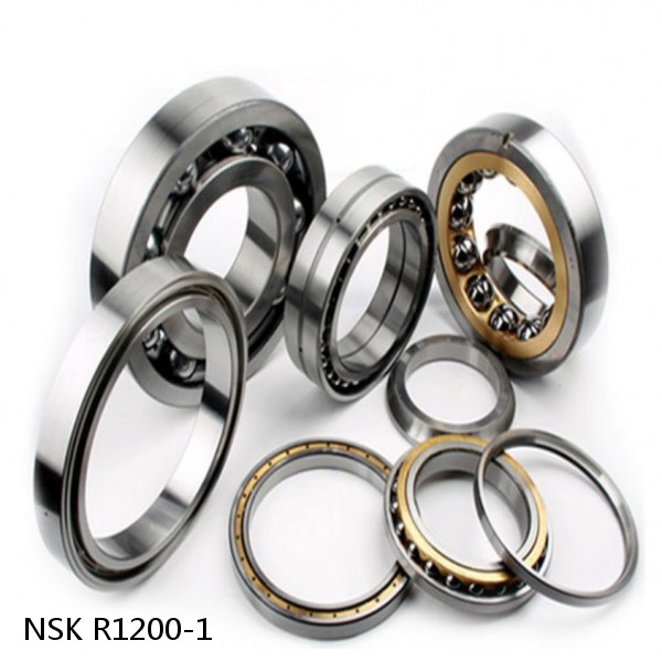 R1200-1 NSK CYLINDRICAL ROLLER BEARING #1 small image