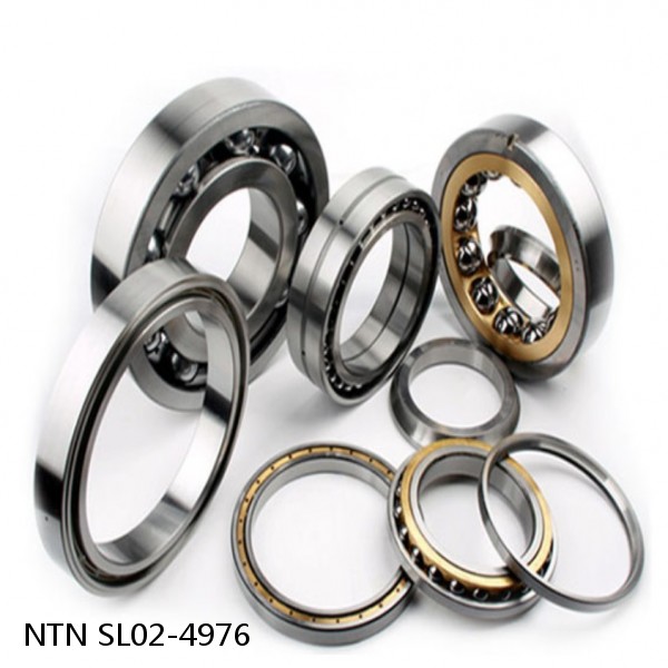 SL02-4976 NTN Cylindrical Roller Bearing #1 small image