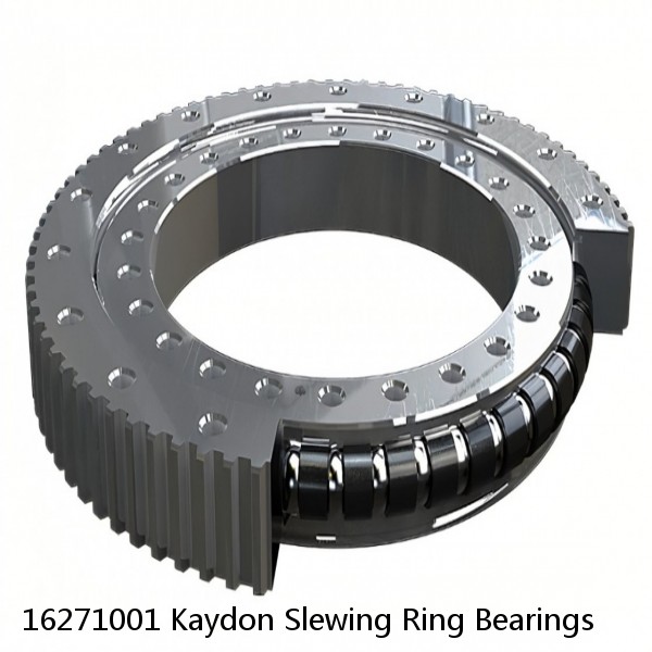 16271001 Kaydon Slewing Ring Bearings #1 image