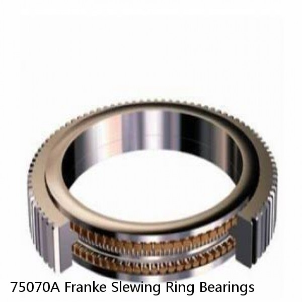 75070A Franke Slewing Ring Bearings #1 image