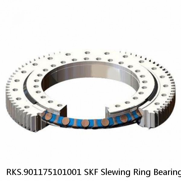 RKS.901175101001 SKF Slewing Ring Bearings #1 image