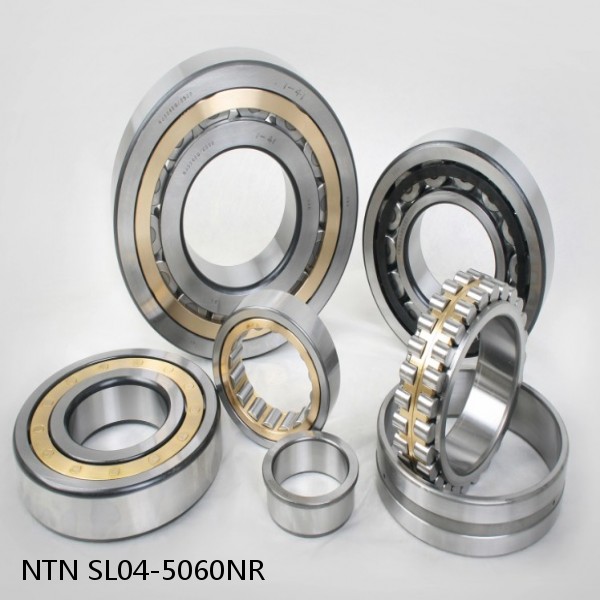 SL04-5060NR NTN Cylindrical Roller Bearing #1 image